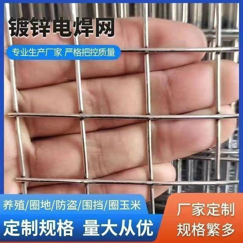 拦鸡网养殖网热镀锌玉米网铁防护网网格建筑网钢丝网铁丝网围包邮