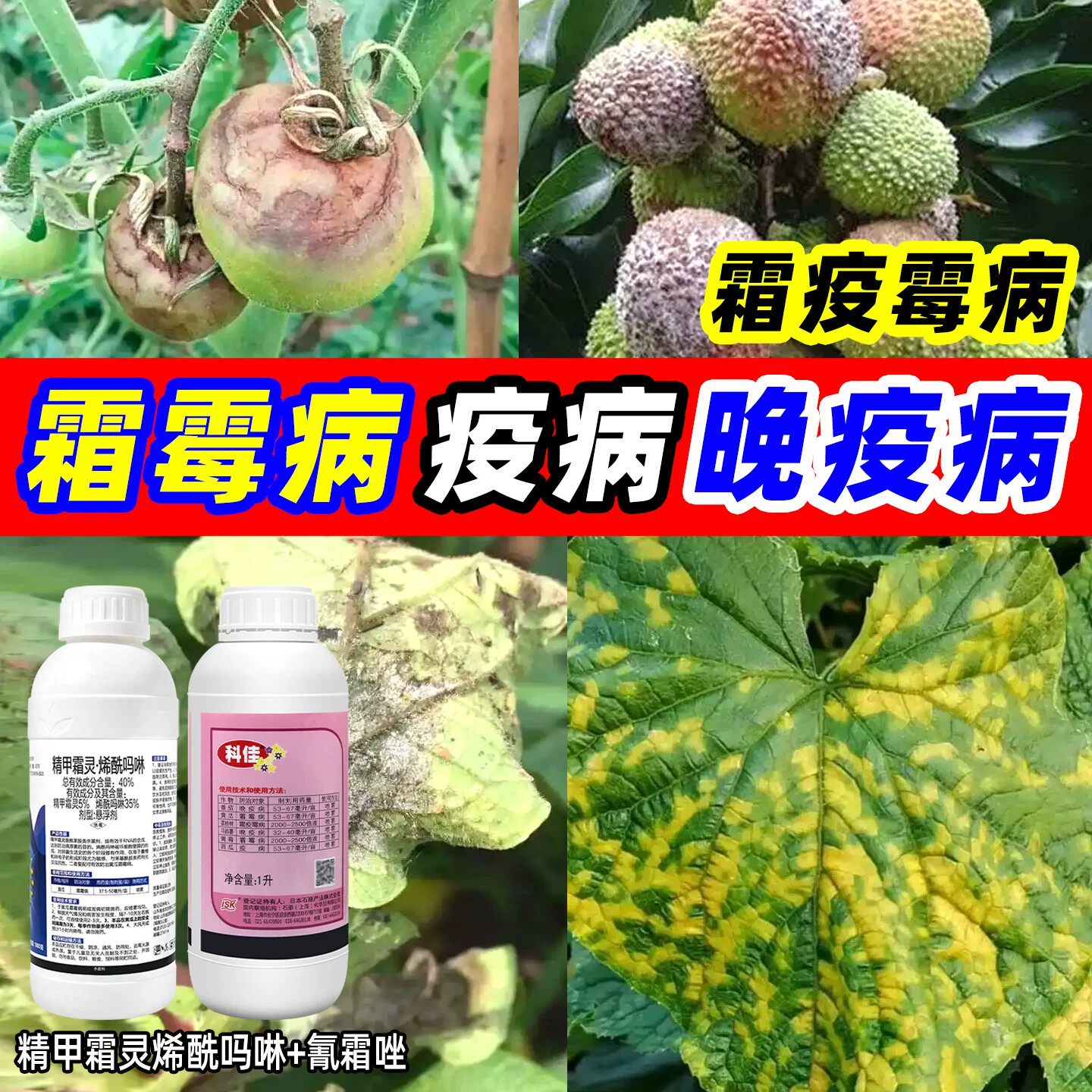 霜霉病专用药霜霉疫病科佳氰霜唑精甲霜灵烯酰吗啉农药杀菌剂组合