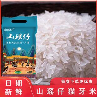 山瑶仔猫牙米2024新米农家大米广西长粒香丝苗软米虾田猫牙旗舰店