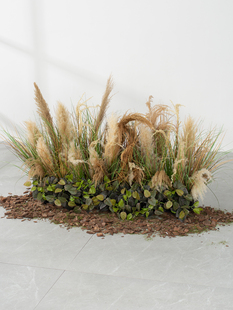 干芦苇彷真花盆栽覆古花艺造景高级橱窗花园围栏花槽花草摆件景观