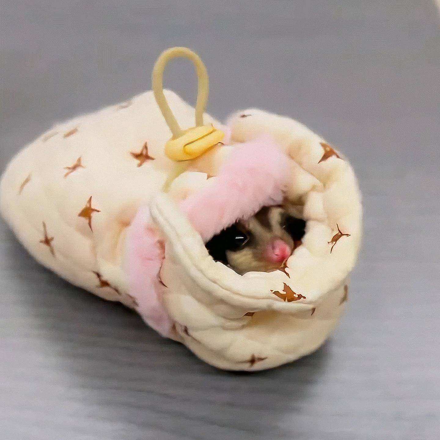 蜜袋鼯窝冬季加绒加厚保暖窝幼鼠小仓鼠花枝鼠通用睡觉窝可爱睡袋,宠物/宠物食品及用品,窝,淘宝优惠券,粉丝福利购,淘宝优惠卷