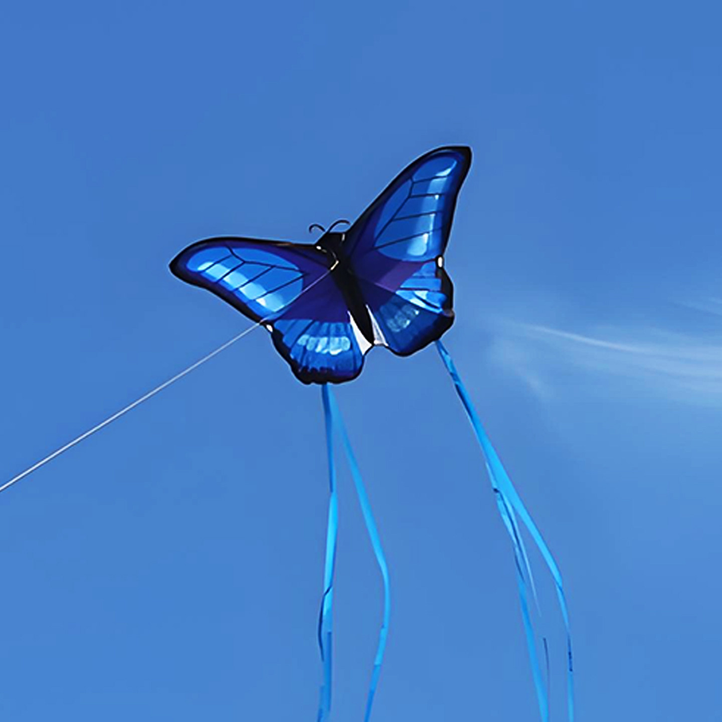 仿真蝴蝶风筝潍坊基林新款微风易飞儿童专用成人大型高档抗大风 - 潍坊风翎社企业店出品
