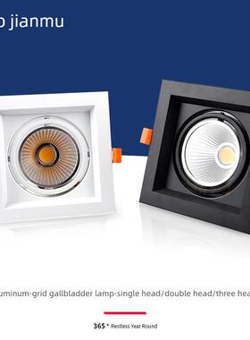 Led格栅大胆灯单头双头方形筒灯栅格葡萄架嵌入式方形商业穗轴聚