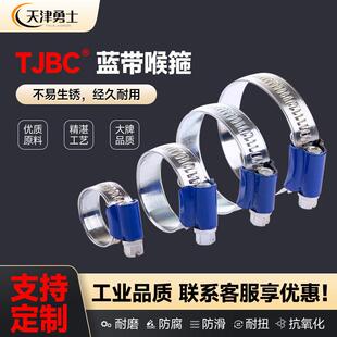 蓝带卡箍TJBC天津宝成镀锌蓝头喉箍水管夹抱箍喉扎非不锈钢碳钢箍