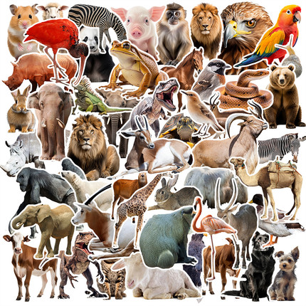 50张写实动物世界贴纸儿童素材装饰笔记本头盔相框画手账保温杯水杯电动车滑板iPad平板音响电脑DIY防水贴纸