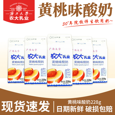 广西大学农大乳业黄桃酸奶228ml