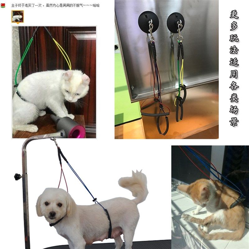 宠物美容台吊绳洗澡栓猫桩狗桩猫咪固定控制美容桌牵引吸盘保定绳