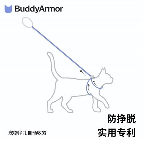 BuddyArmor猫咪小型狗牵引绳防挣脱防走丢外出专用可调节遛猫神器