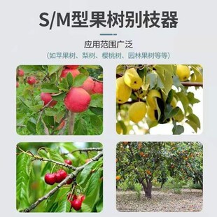 50斤果树SE.M型别枝器开角器拉枝器拨枝器压枝器园林工具弯枝神器