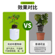 美植袋不织布植物种植袋特大种树育苗袋加厚植树袋阳台种菜布花盆