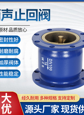 HC41X-16法兰消声止回阀消音立卧式单向阀DN40 50 65 80 100 150