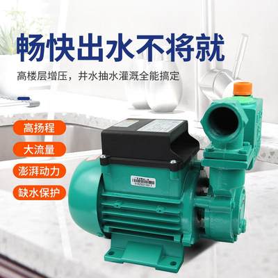 1水泵1DZB-35/45/65抽水机污水泵自来水井220V自吸清水增压泵