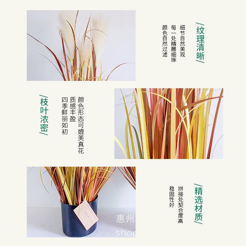 仿真植物芦苇5头秋色仿真芦苇草盆栽狗尾巴草家居装饰摆件仿真花