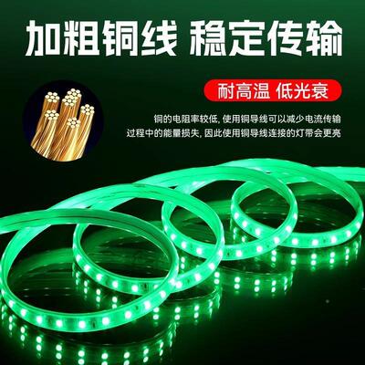 220VLED彩色户外500灯七彩RGB带客厅光吊顶调能防水遥控变色七智