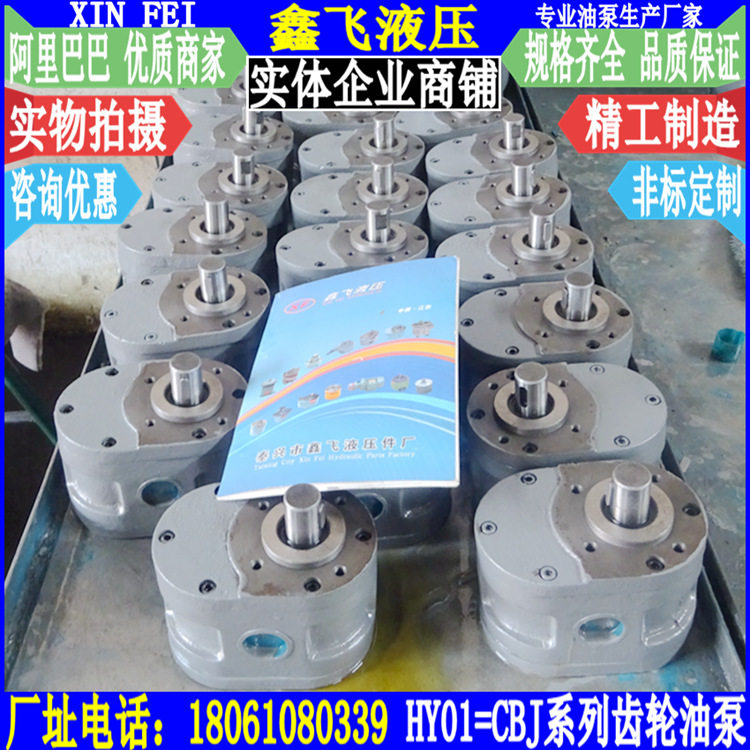 低压磨床齿轮油泵HY01系列