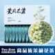 茉莉花茶独立小包装 2025新茶广西横县飘雪茶叶可冷泡贵州绿茶礼盒