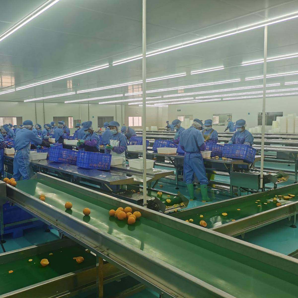 橙子削皮线芒果削皮线水果输送线水果深加工传送设备,厨房电器,其他商用厨电,淘宝优惠券,粉丝福利购,淘宝优惠卷