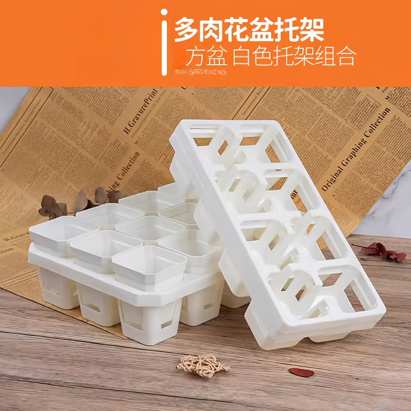 多肉拼盘12托架加厚白方盆树脂图片