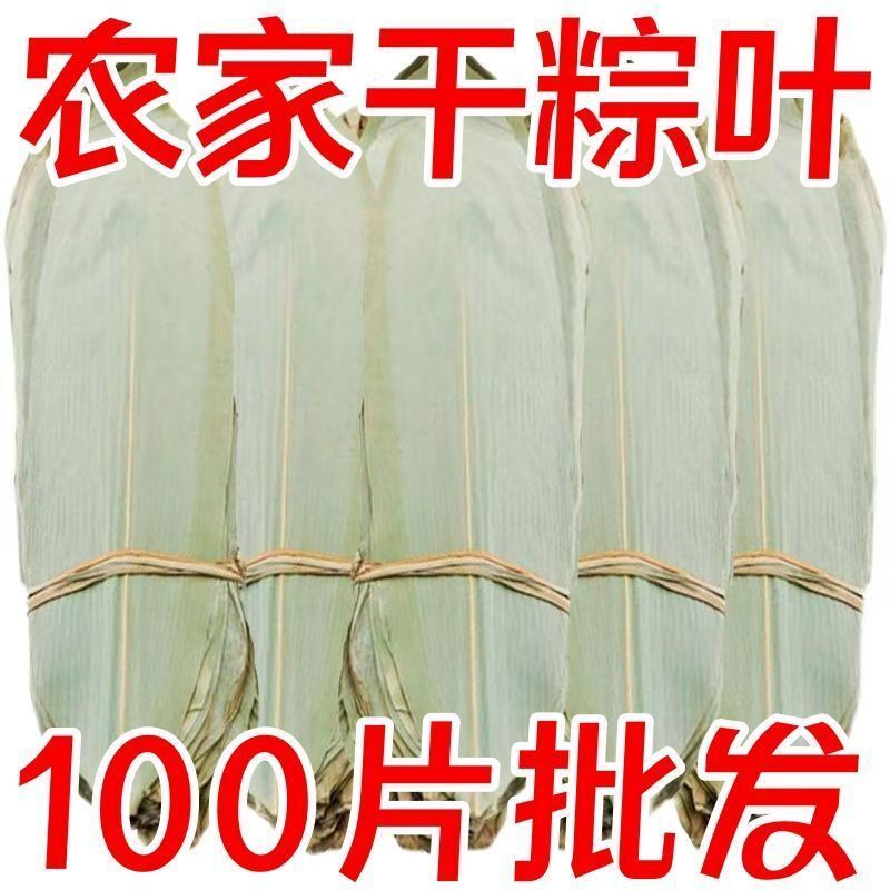 【特大号】新鲜粽叶大叶干粽叶包粽子叶野生天然棕叶箬叶干粽叶