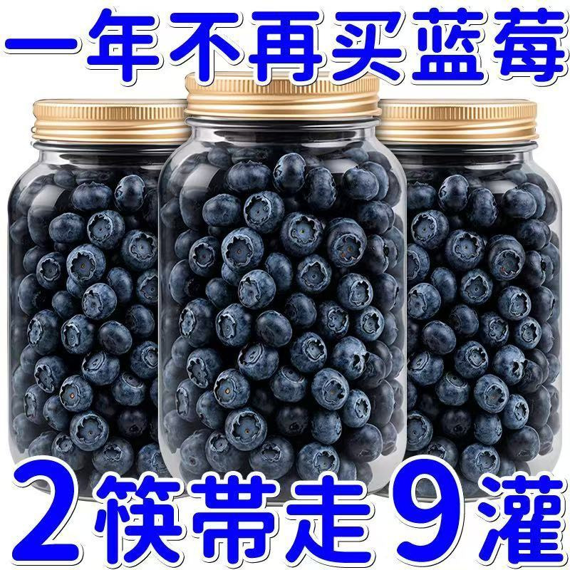 蓝莓干无糖无添加儿童孕妇代餐食品东北野生新鲜蓝梅干润喉糖批发