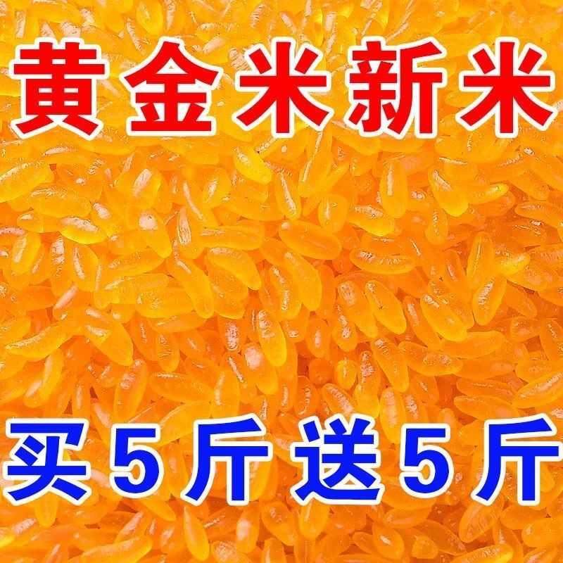 精选品质 黄金米东北玉米现磨粗粮米农家特产玉米胚芽米特色食品