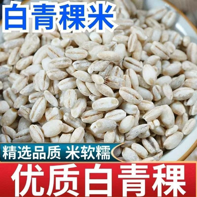白青稞米青藏高原粮食谷物新米青稞去皮煮粥低糖低脂代餐粥升糖慢