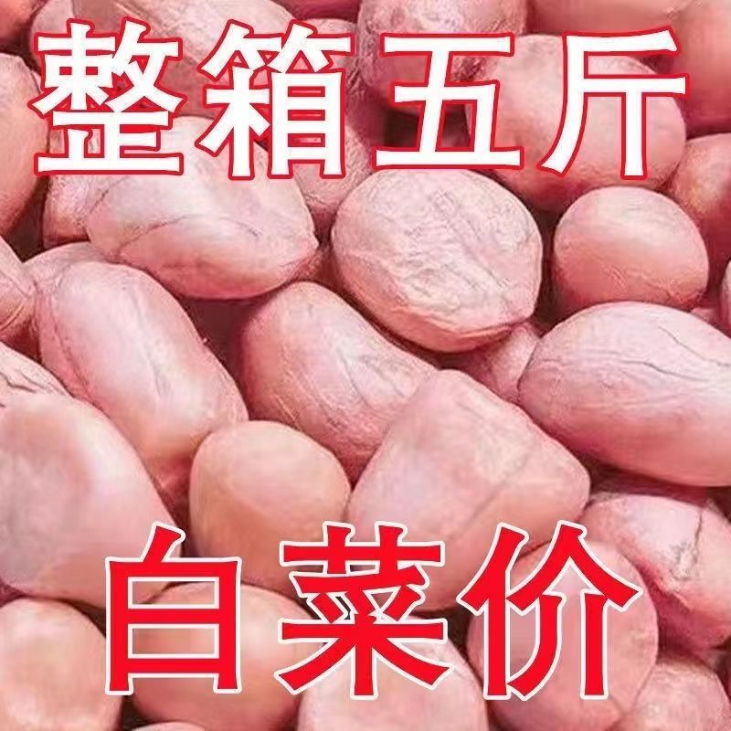 【5斤大降价】现剥新花生米新货粉皮新鲜大粒榨油白沙花生米10g装