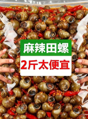 新鲜麻辣田螺开袋即食香辣螺蛳螺丝肉大袋装口味嗦螺海鲜熟食网红
