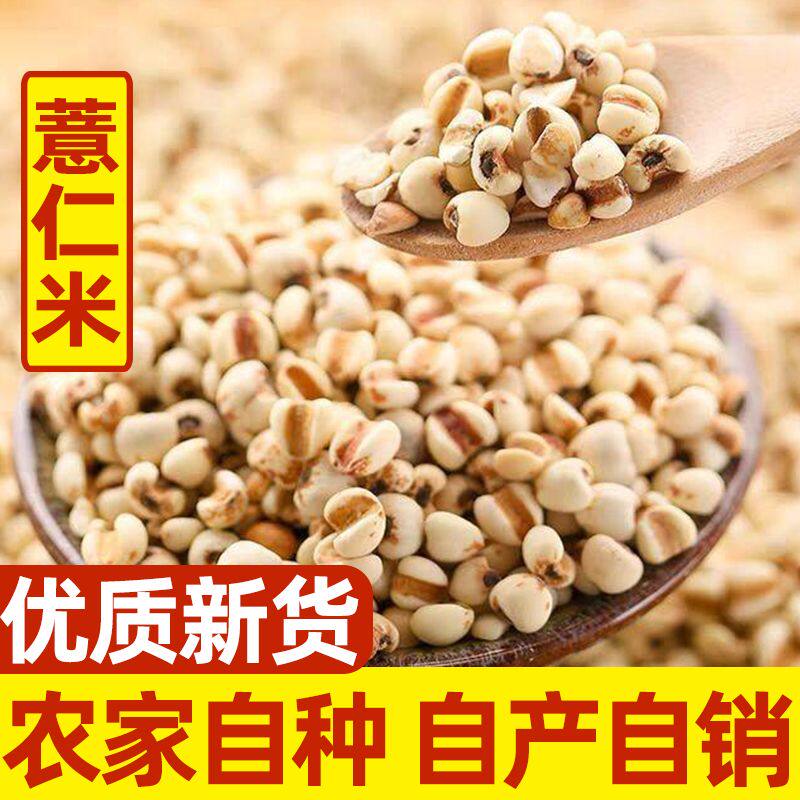 薏仁米薏米仁特级新货贵州大薏仁米五谷杂粮粮天然粗粮健身无硫