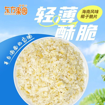 海南特产正宗椰子脆碎片即食椰肉碎椰干碎干酸奶烘焙休闲零食香脆