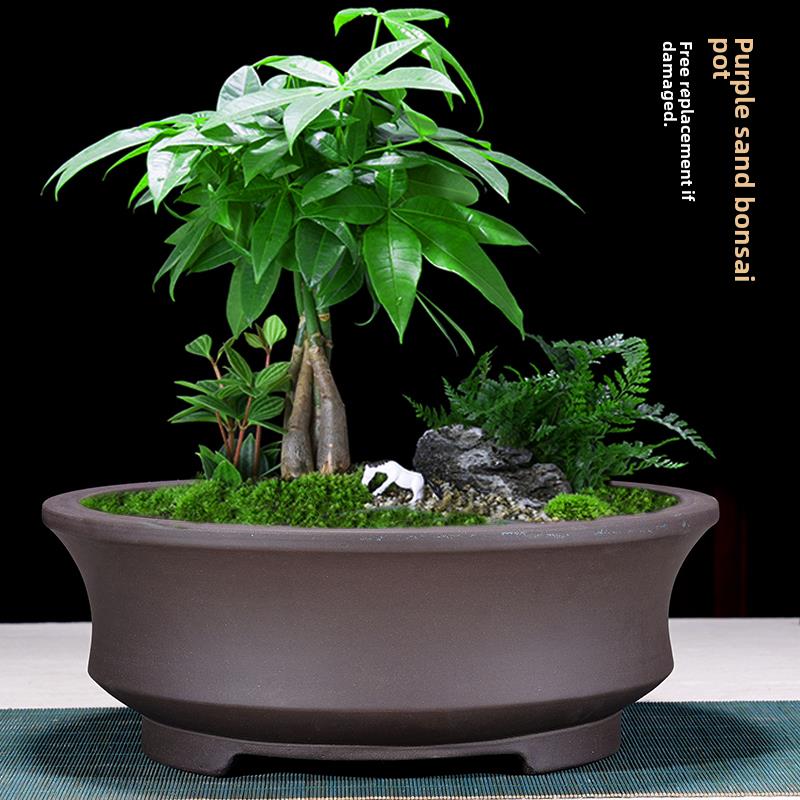紫砂花盆陶瓷超大形状圆形花盆树桩旧桩绿色植物花盆景花盆蔬菜花