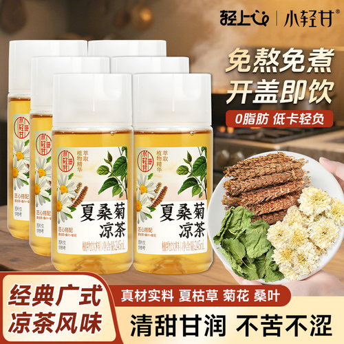 轻上夏桑菊凉茶饮料四季常备草本