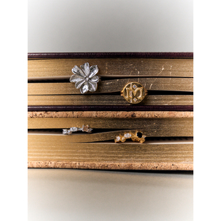 Cotemp 设计师品牌 25秋冬新款 字母印章戒指 鎏金工艺 SOLSOL