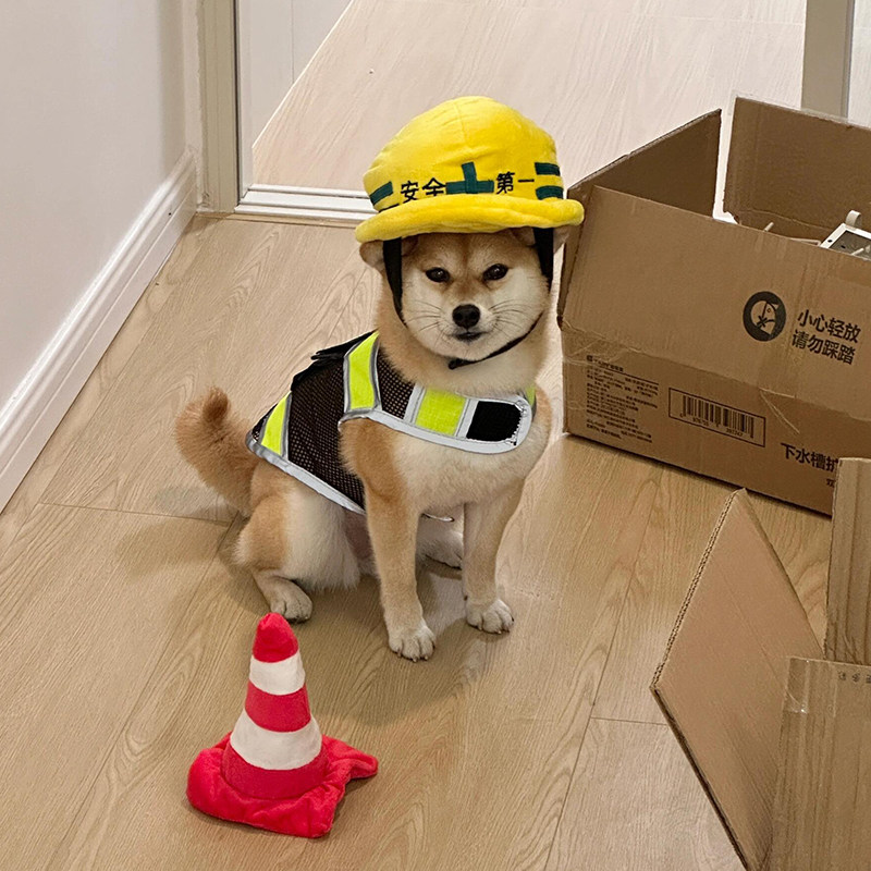 狗狗帽子宠物安全工程帽柯基柴犬小型犬可爱衣服卖萌搞怪拍照道具
