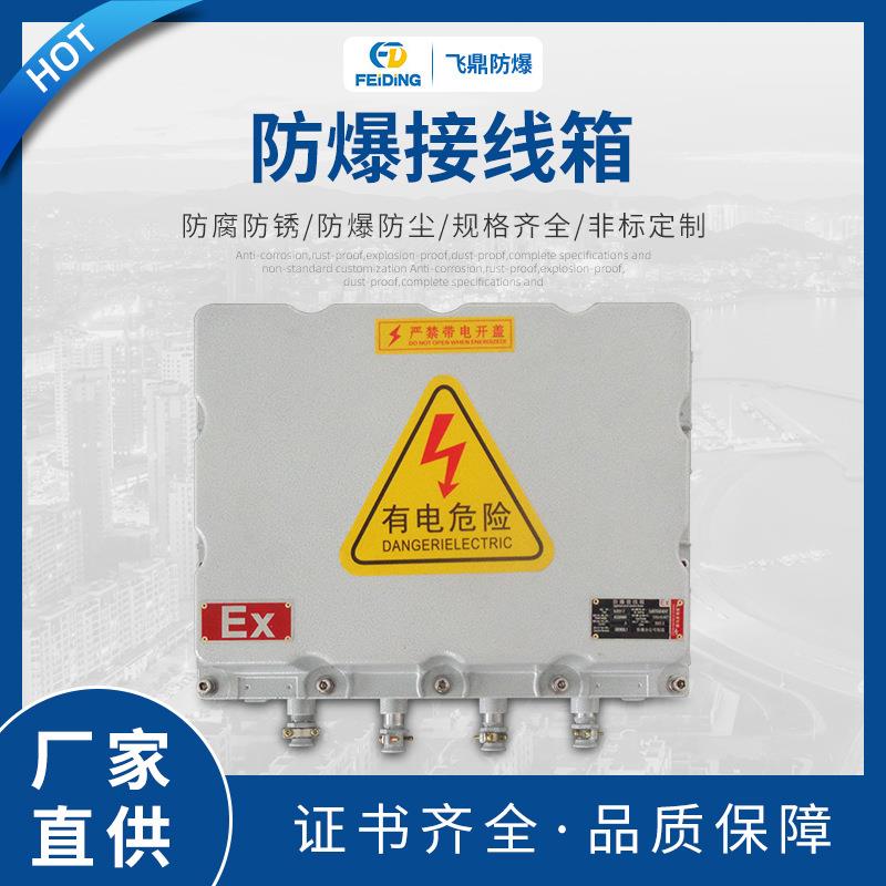 防爆接线箱控制仪表箱防爆配电箱接线箱按钮盒端子箱防爆电柜