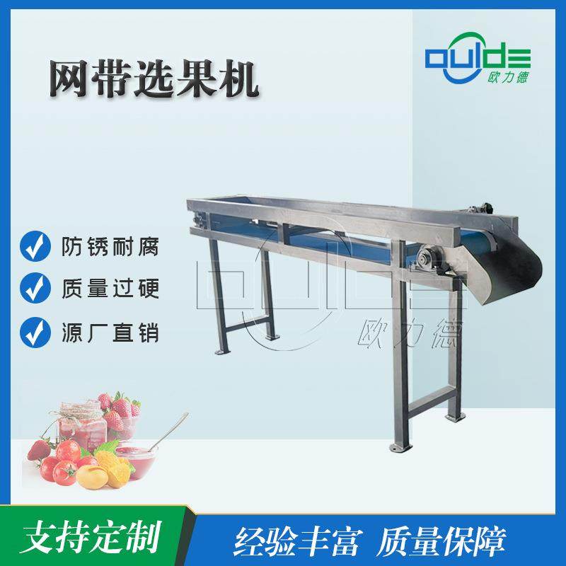 厂价直销工业商用网带式板式全自动可清洗果蔬选果机输送机挑选机