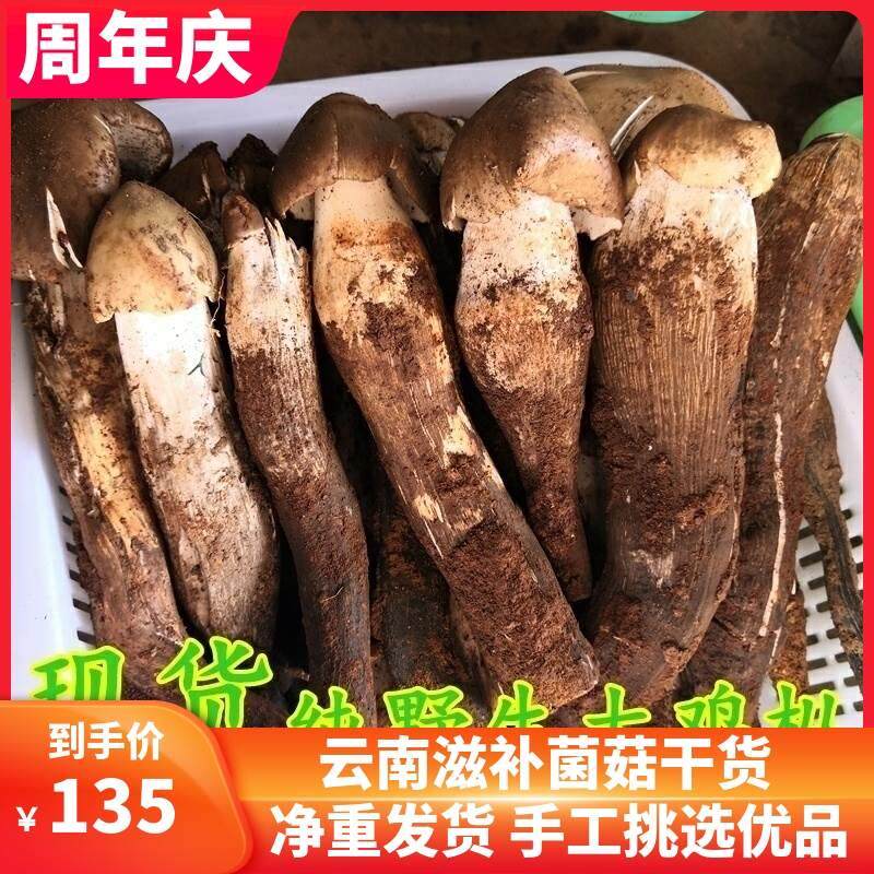 新鲜野生鸡枞菌 云南特产山珍美味荔枝菌油鸡纵棕香菇食用农产品