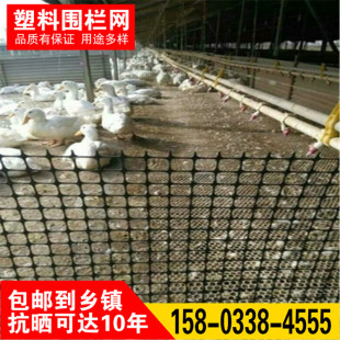 养鸡鸭围栏网养殖篱笆网家禽围网塑料围栏L网鱼塘围网户外拦鸡鸭