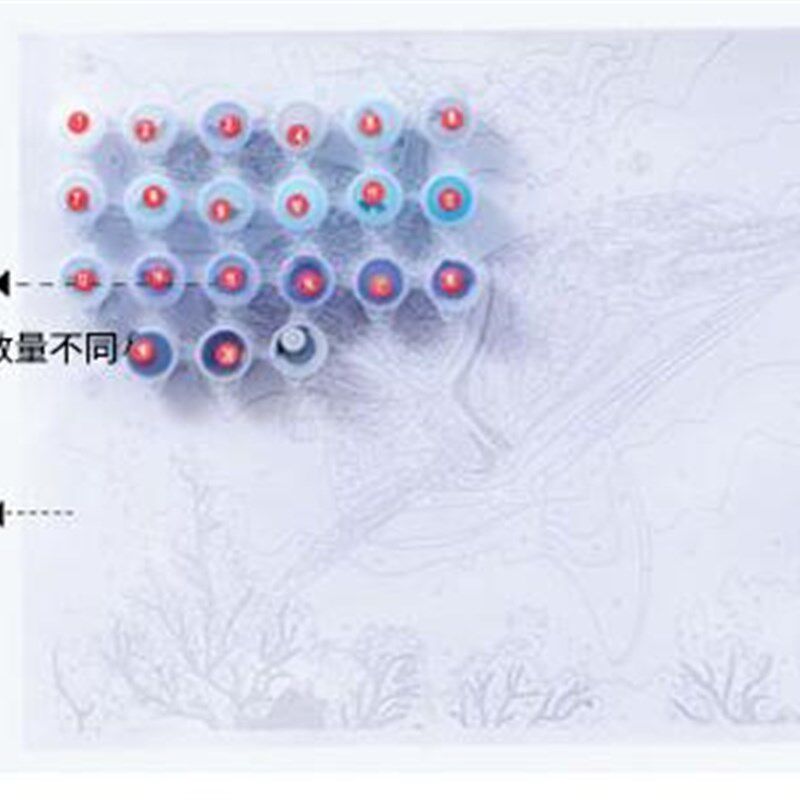 diy数字油画抽象风景静物填色E绘油彩装饰画 秋天的桦树