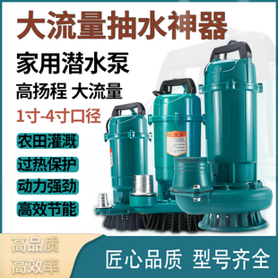 家用潜水泵小型高扬程n潜水泵220V抽水水泵抽水机大口径农用清水