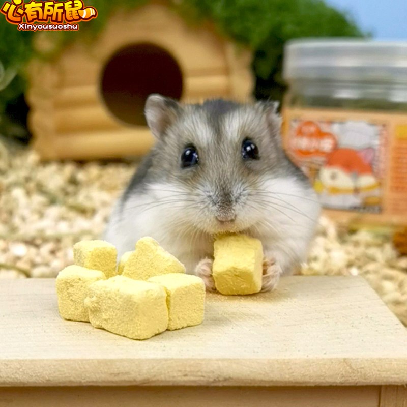 仓鼠小零食冻干豆腐金丝熊主粮食专用品夏季吃的侏儒饲料营养食物