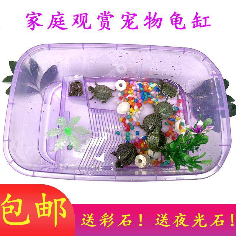 家庭观赏乌龟缸带晒台露台水龟金龟缸龟箱塑料透明缸乌龟活体养龟