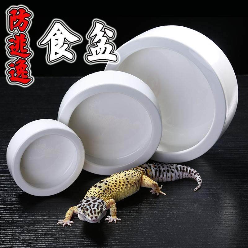 SuperRep爬虫防逃逸食盆爬宠蜥蜴守宫鬃狮面包虫大麦虫无菌陶瓷盆