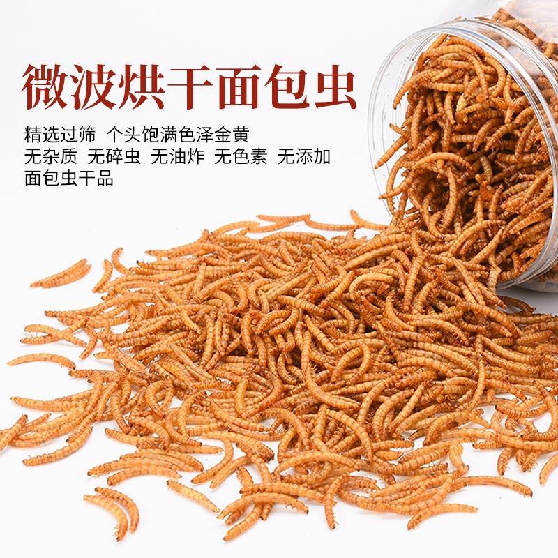 仓鼠粮食面包虫干黄粉虫干八哥鹩哥饲料龙鱼芦丁刺猬鹦鹉鸟虫子