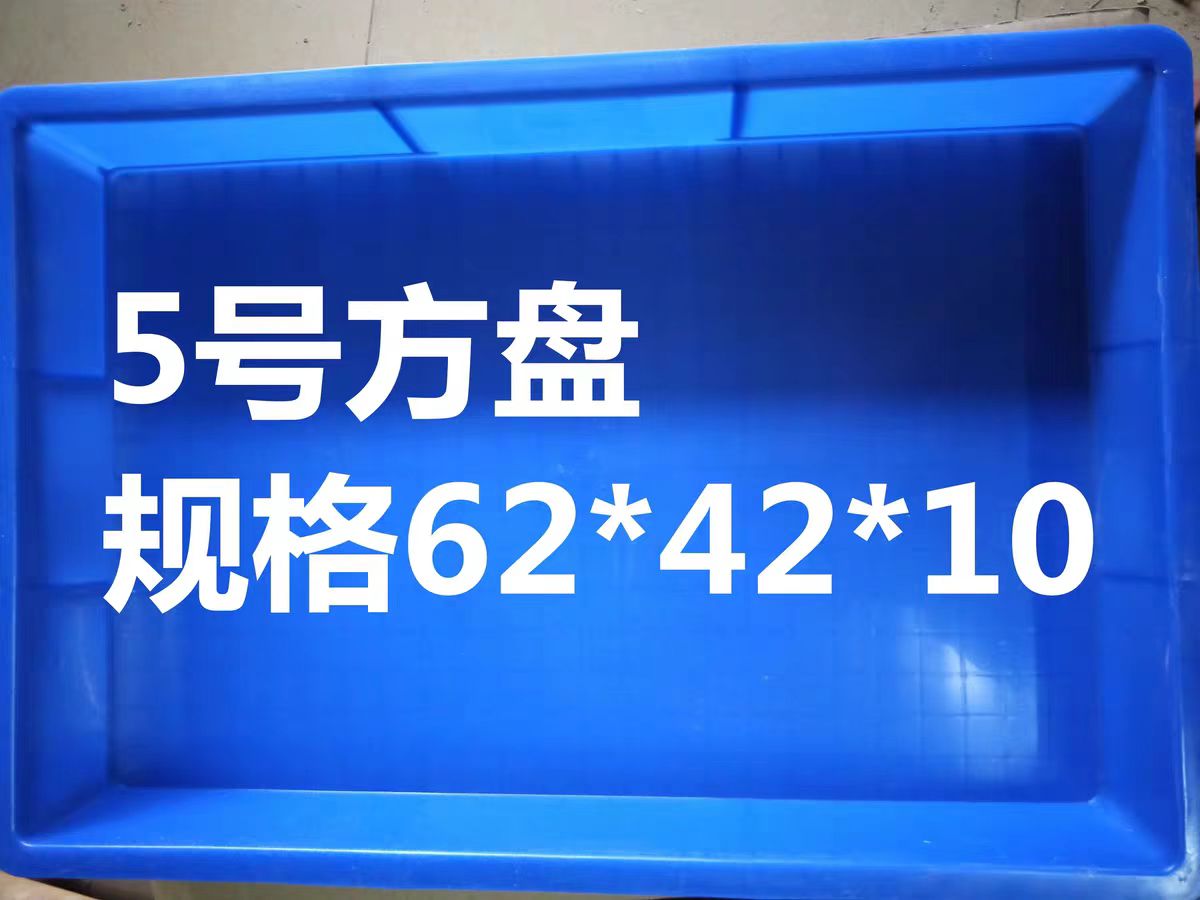 黄粉虫活体虫粪筛网面包虫饲养盒虫屎分离筛大麦虫养殖便便清理箱