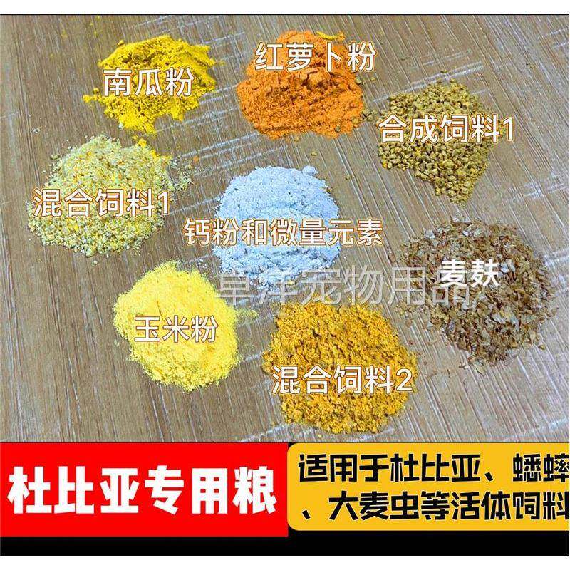 杜比亚 蟑螂爬宠昆虫高蛋白高维养殖饲料樱桃红蟋蟀面包虫大麦虫