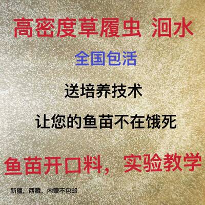 高密度大草履虫洄水斗鱼繁殖学校实验活体草履虫卵生鱼苗开口料虫
