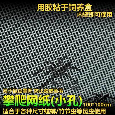 包邮现货爬虫攀爬纸攀爬网螳螂攀爬纸螳螂攀爬网昆虫活体饲养用品