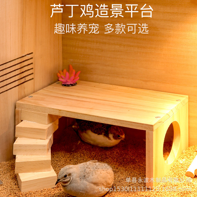 芦丁鸡喂食台配件装饰仓鼠用品