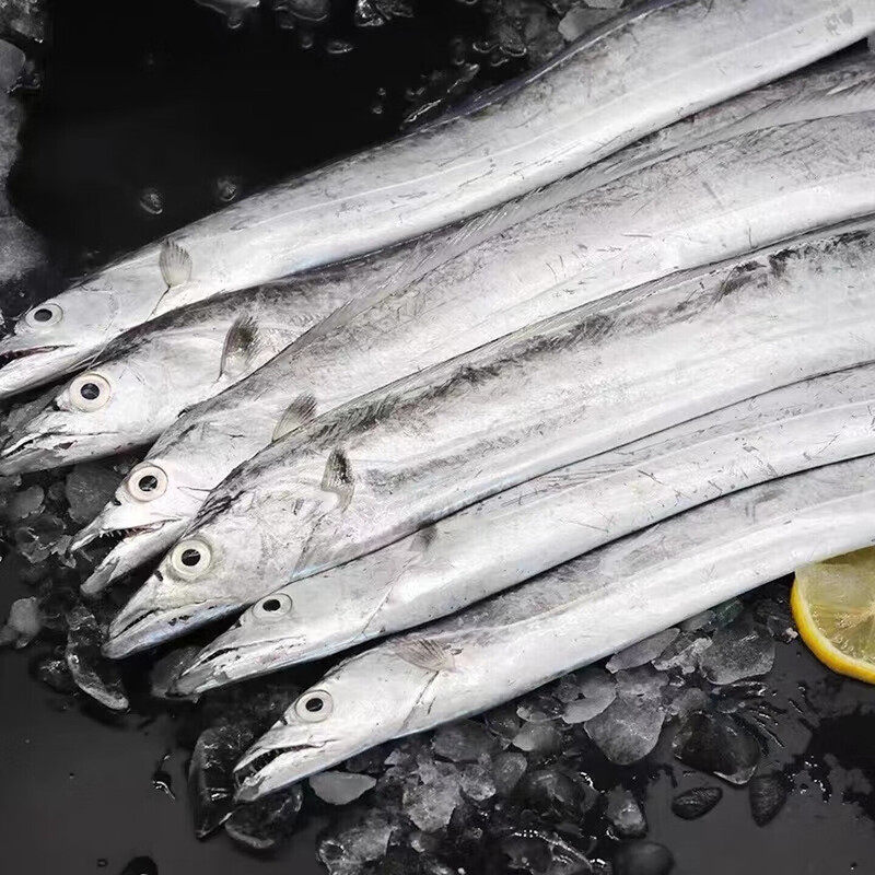 福建东山岛整条带鱼急速锁鲜油脂肥厚鲜美,水产肉类/新鲜蔬果/熟食,鱼干,淘宝优惠券,粉丝福利购,淘宝优惠卷